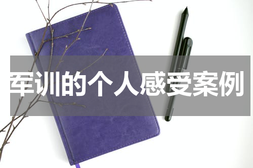 军训的个人感受案例