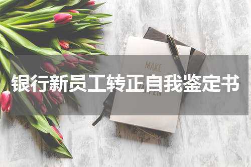 银行新员工转正自我鉴定书