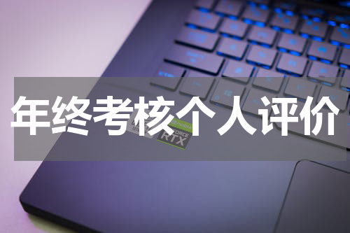 年终考核个人评价