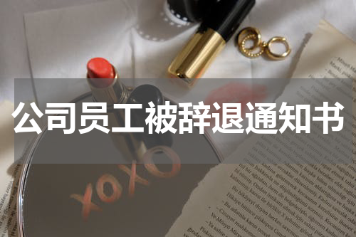 公司员工被辞退通知书