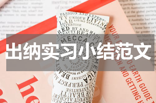 出纳实习小结范文
