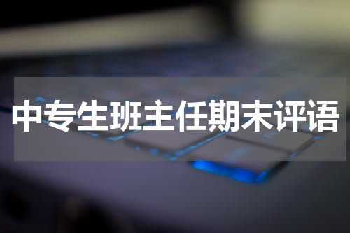 中专生班主任期末评语