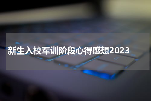 新生入校军训阶段心得感想2023