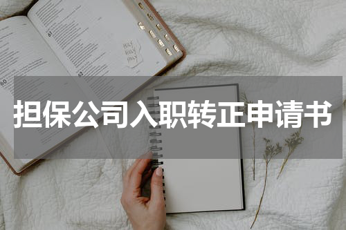 担保公司入职转正申请书