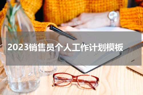 2023销售员个人工作计划模板