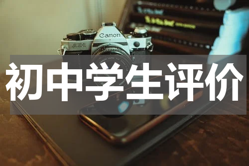 初中学生评价