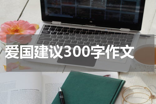爱国建议300字作文