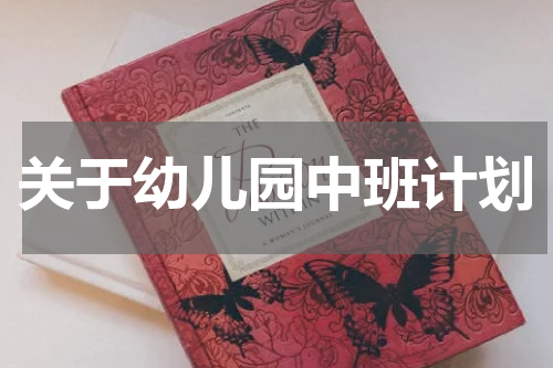 关于幼儿园中班计划