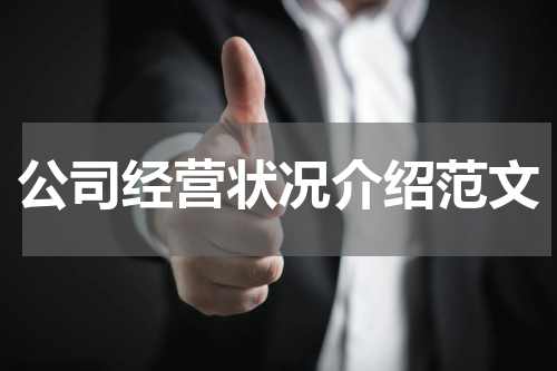 公司经营状况介绍范文