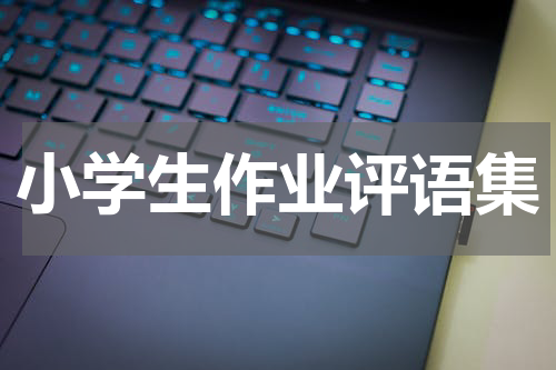 小学生作业评语集