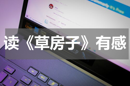 读《草房子》有感