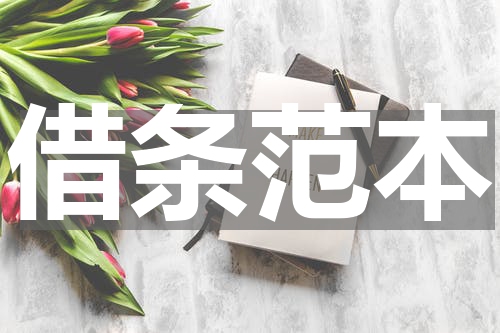 借条范本