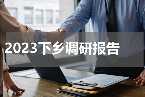 2023下乡调研报告