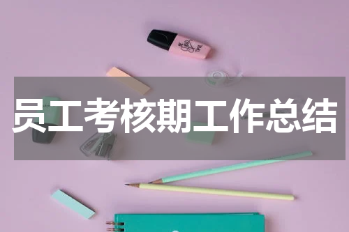 员工考核期工作总结