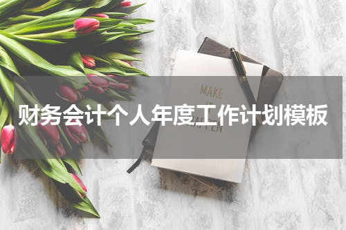 财务会计个人年度工作计划模板