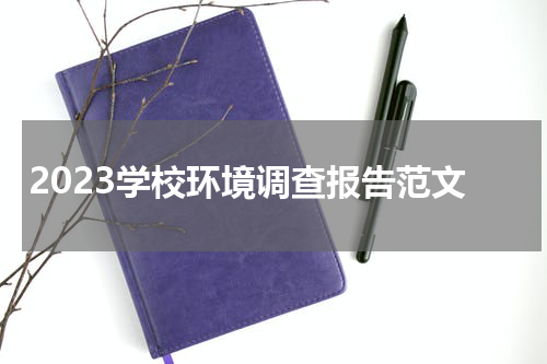 2023学校环境调查报告范文