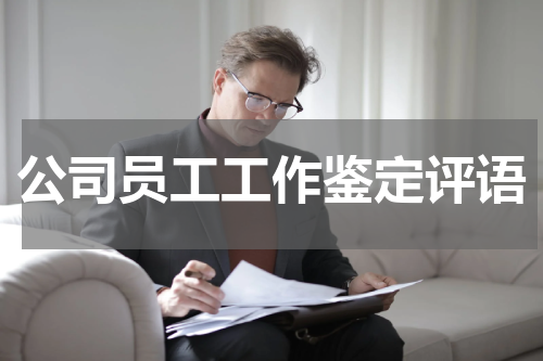 公司员工工作鉴定评语