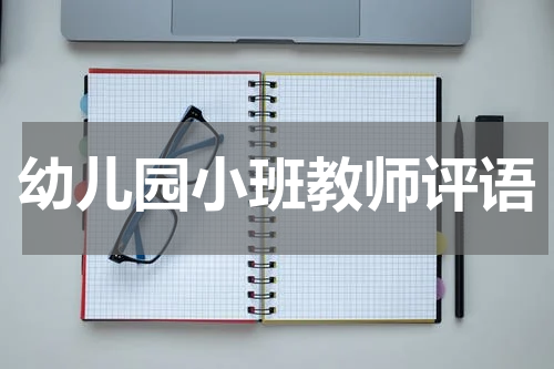 幼儿园小班教师评语