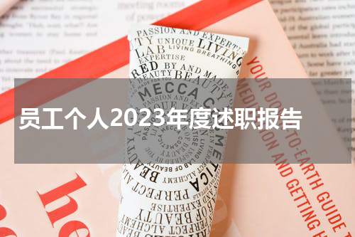 员工个人2023年度述职报告