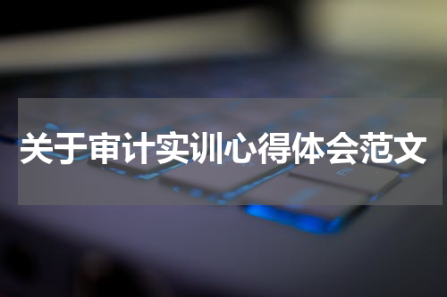 关于审计实训心得体会范文