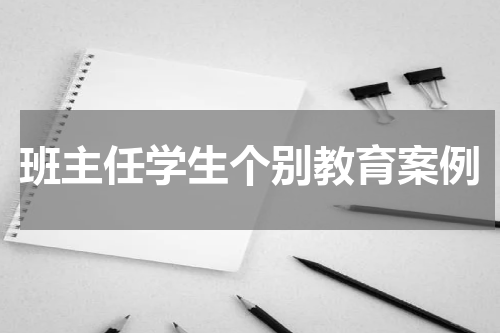 班主任学生个别教育案例