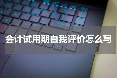 会计试用期自我评价怎么写