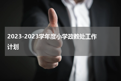 2023-2023学年度小学政教处工作计划
