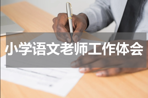 小学语文老师工作体会