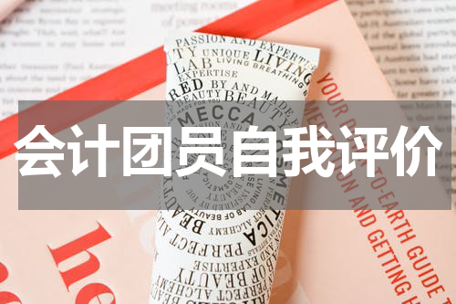 会计团员自我评价