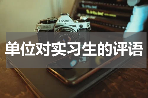 单位对实习生的评语