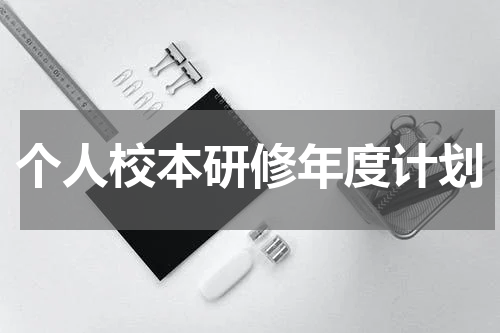 个人校本研修年度计划