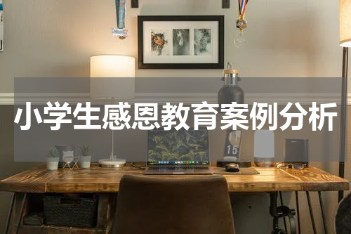 小学生感恩教育案例分析