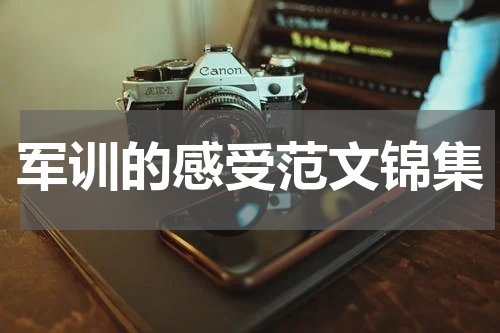 军训的感受范文锦集