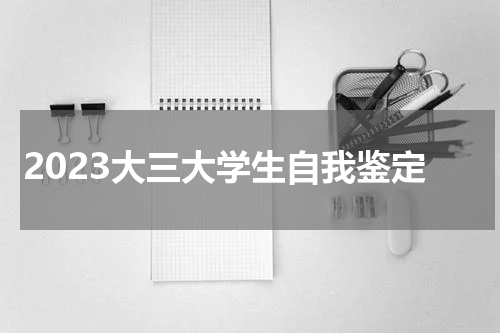 2023大三大学生自我鉴定