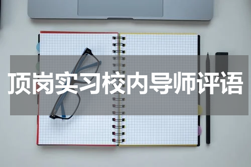 顶岗实习校内导师评语