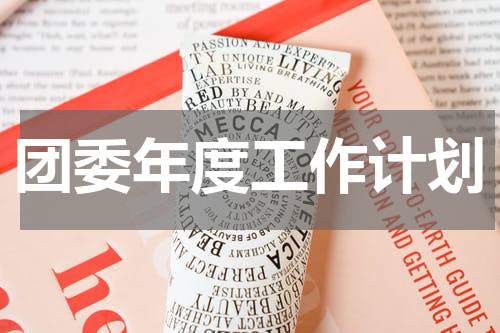 团委年度工作计划