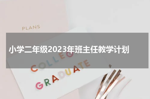 小学二年级2023年班主任教学计划