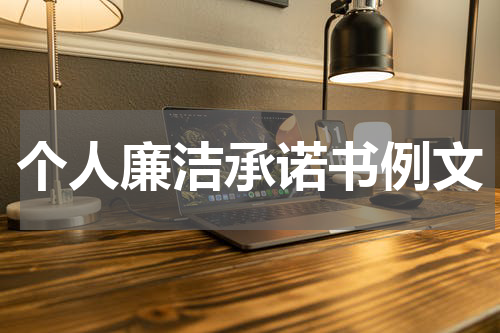 个人廉洁承诺书例文