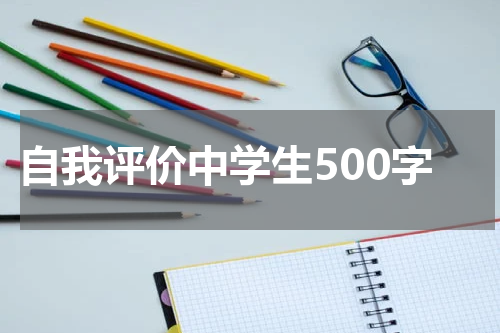 自我评价中学生500字
