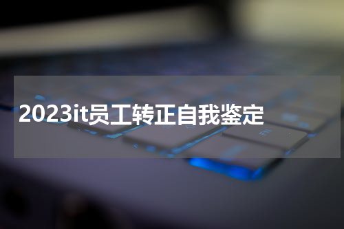 2023it员工转正自我鉴定