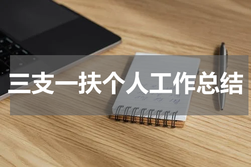 三支一扶个人工作总结