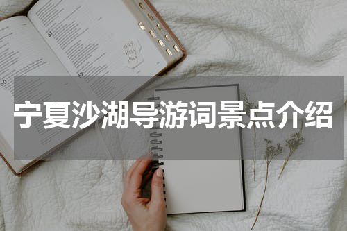 宁夏沙湖导游词景点介绍