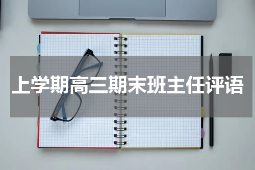 上学期高三期末班主任评语