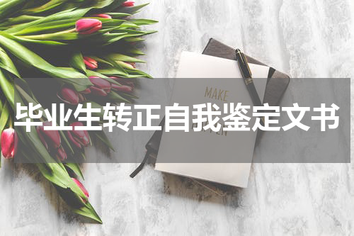 毕业生转正自我鉴定文书