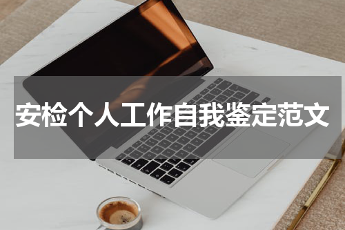 安检个人工作自我鉴定范文
