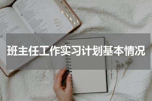 班主任工作实习计划基本情况