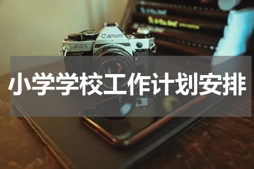 小学学校工作计划安排