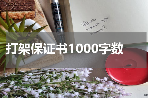 打架保证书1000字数