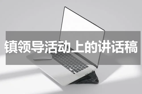 镇领导活动上的讲话稿