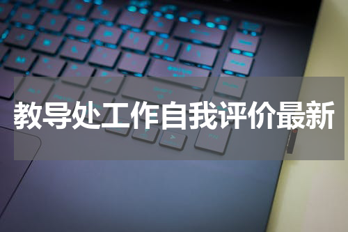 教导处工作自我评价最新